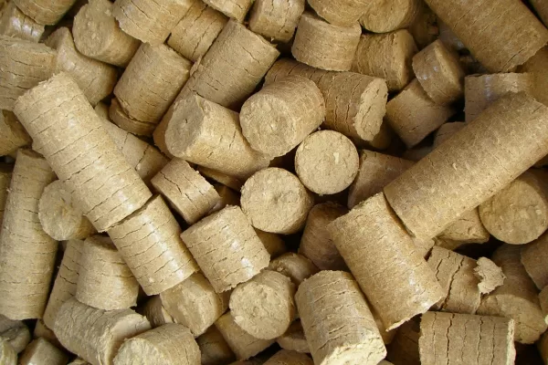Briquettes are defined as