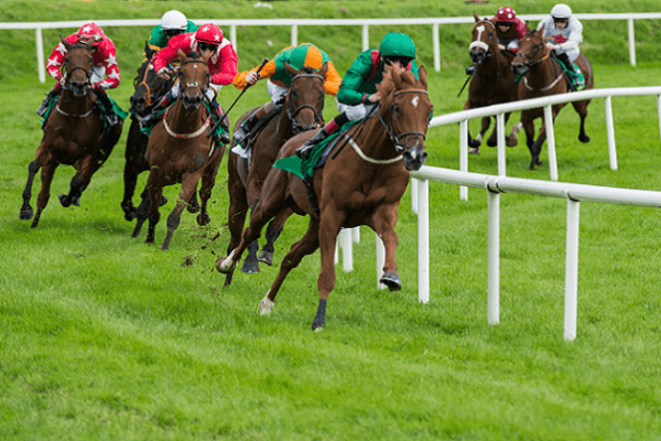 Templegate’s Tips: Navigating the Horse Racing World with Expert Insight