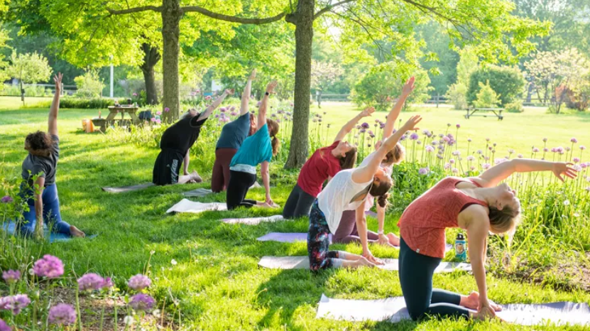 Yoga for Gardeners: Cultivate Strength, Flexibility & Serenity